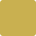 novoImg1